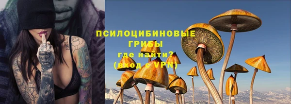 mdpv Верхний Тагил