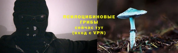 бошки Яранск